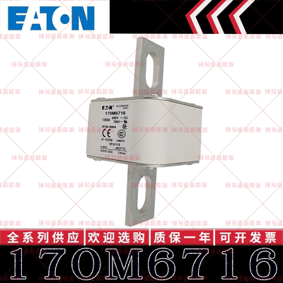 170M系列巴斯曼快速熔断器 170M6716 170M6717 170M6718 170M6719
