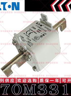 170M系列巴斯曼快速熔断器 170M3316 170M3317 170M3318 170M3319