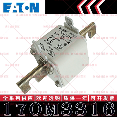 170M系列巴斯曼快速熔断器 170M3316 170M3317 170M3318 170M3319
