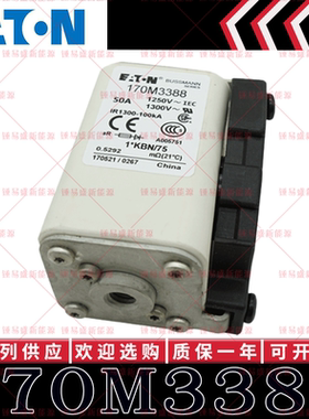 170M系列巴斯曼快速熔断器 170M3388 170M3389 170M3390 170M3391