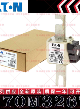 170M系列巴斯曼快速熔断器 170M3266 170M3267 170M3268 170M3269