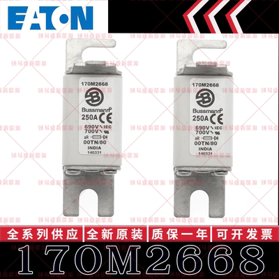 BUSSMANN巴斯曼快速熔断器 170M2668 170M2669 170M2670 170M2671