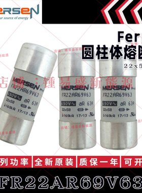 FR22GR69V12T/16T/20T/25T/32T/40T/50T/63T/80T/100T/125T/135T