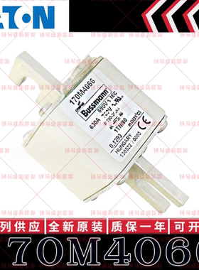 BUSSMANN巴斯曼快速熔断器 170M4066 170M4067 170M4068 170M4069
