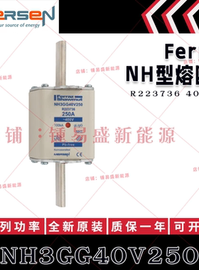 法国ferraz shawmut熔断器 NH3GG40V250/V315/V400/V500/V630 400