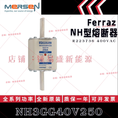 法国ferraz shawmut熔断器 NH3GG40V250/V315/V400/V500/V630 400