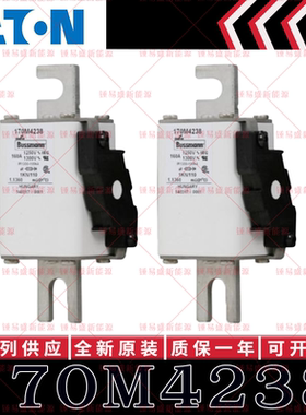 170M系列巴斯曼快速熔断器 170M4238 170M4239 170M4240 170M4241