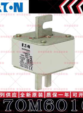 170M系列巴斯曼快速熔断器 170M6016 170M6017 170M6018 170M6019