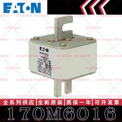 170M系列巴斯曼快速熔断器 170M6016 170M6017 170M6018 170M6019
