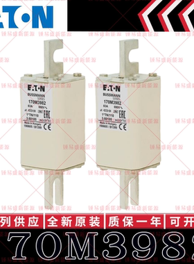 170M系列巴斯曼快速熔断器 170M3981 170M3982 170M3983 170M3984