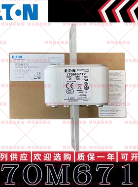 170M系列巴斯曼快速熔断器 170M6708 170M6709 170M6710 170M6711
