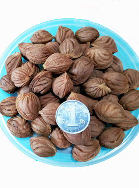 中条山龙纹桃核散珠原色雕刻