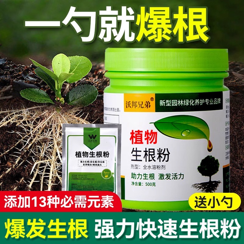 富贵竹强力生根粉植物通用水培壮苗生根剂扦插移栽快速生根生根液-封面