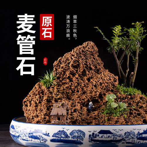 天然麦管石盆景小摆件植物直播