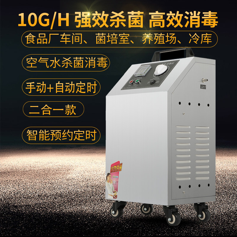 10g臭氧发生器水处理电磁式气泵除甲醛异味 空气净化器臭氧消毒机