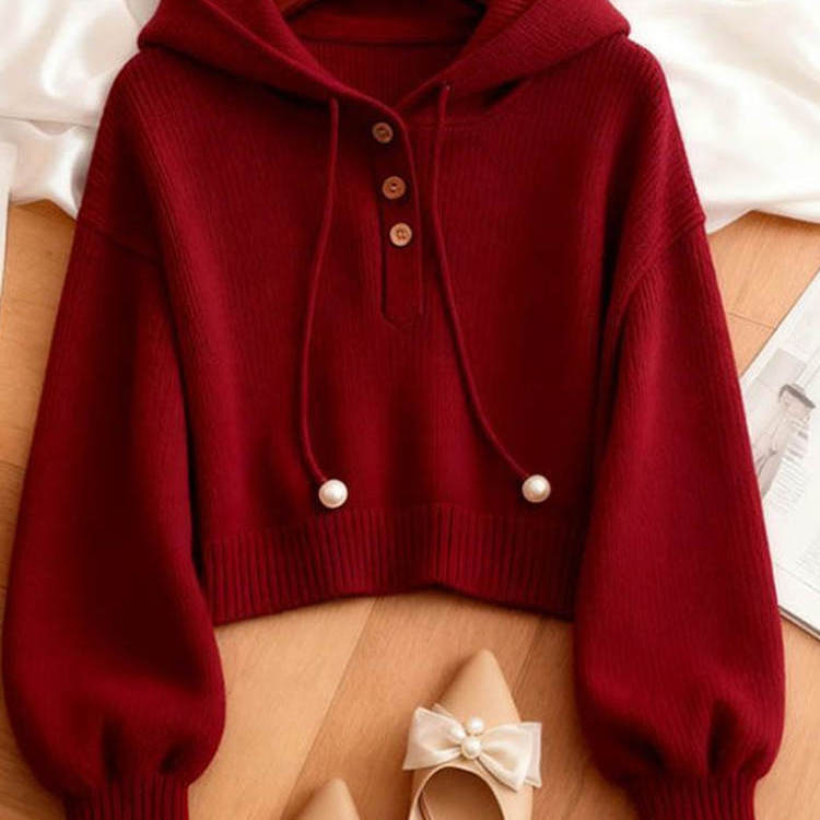 小众红色开衫连帽针织毛衣设计感女秋冬季宽松慵懒风加厚保暖上衣