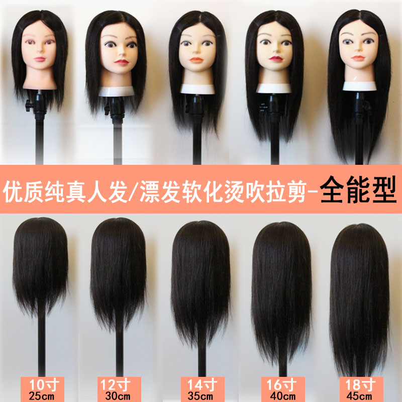 测试推荐艾蕾儿全真人发头模