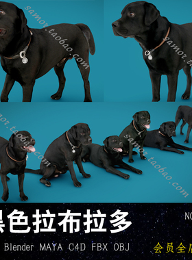 黑色拉布拉多OBJ模型 FBX中型犬MAX写实动物Blend狗狗C4D设计素材