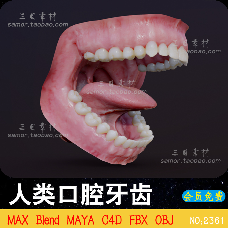 OBJ人类器官口腔嘴巴牙齿舌头3D模型Blend设计素材C4D建模渲染MAX