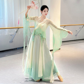 古典舞渐变舞蹈蝴蝶纱衣服女飘逸身韵古风中国练功集训艺考演出服