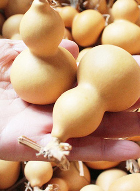 天然小葫芦带龙头手捻手玩精品文玩手把件手盘把玩件手撵手捏摆件