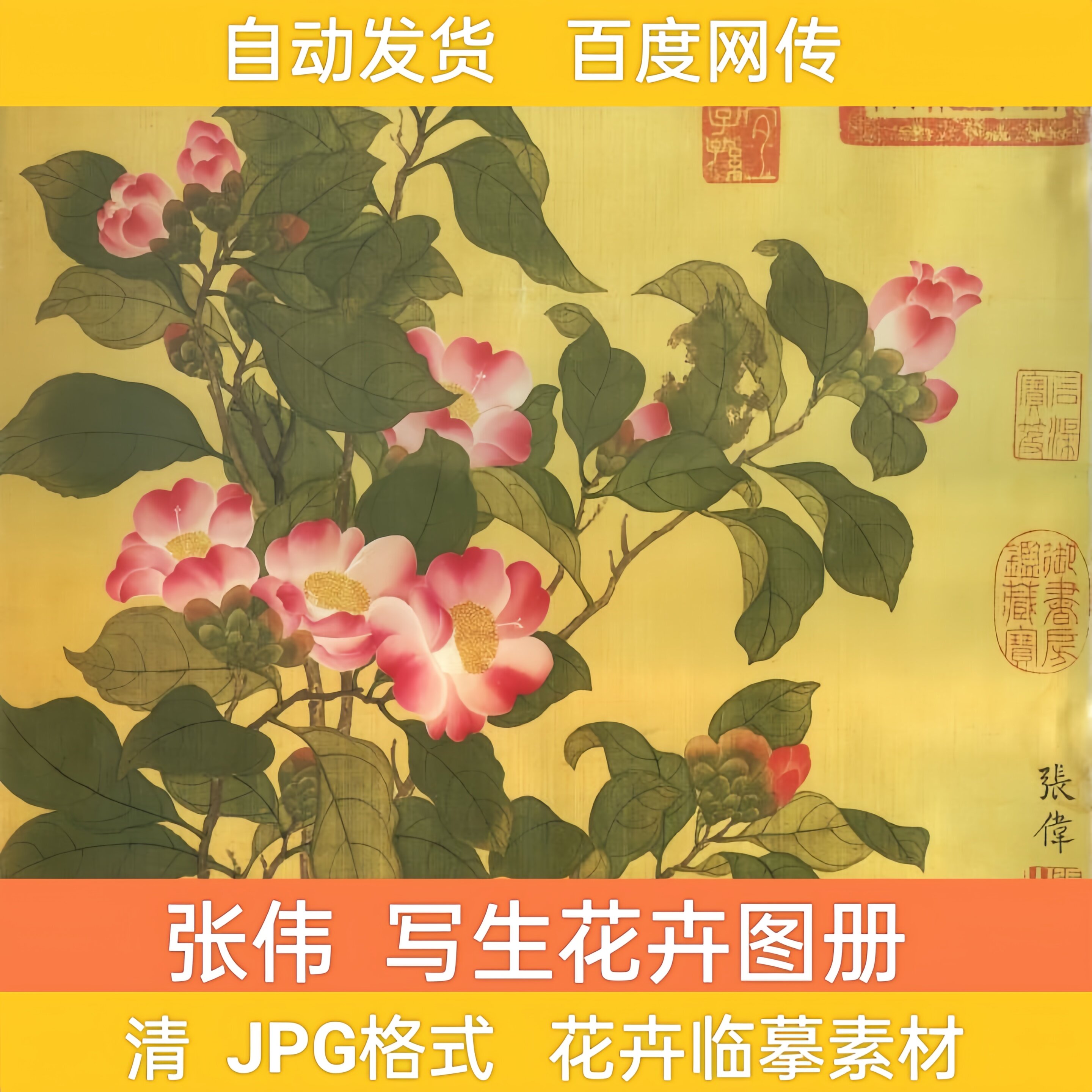 清 张伟 写生花卉册 国画花卉册页高清图片 工笔画花卉临摹素材