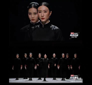 舞剧咏春水墨古典舞艺考演出服武术宗师表演练功服舞蹈飘逸太极服