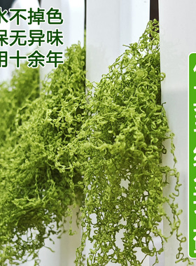 四季不掉色自然绿小草保湿仿真绿色苔藓微景观创意造景专用假青苔