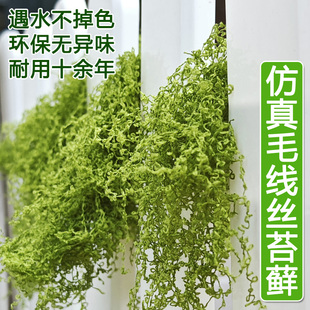 四季不掉色自然绿小草保湿仿真绿色苔藓微景观创意造景专用假青苔