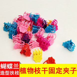 蝴蝶兰专用固定塑料夹兰花枝杆花剑造型迷你小卡扣多彩色箍发夹子