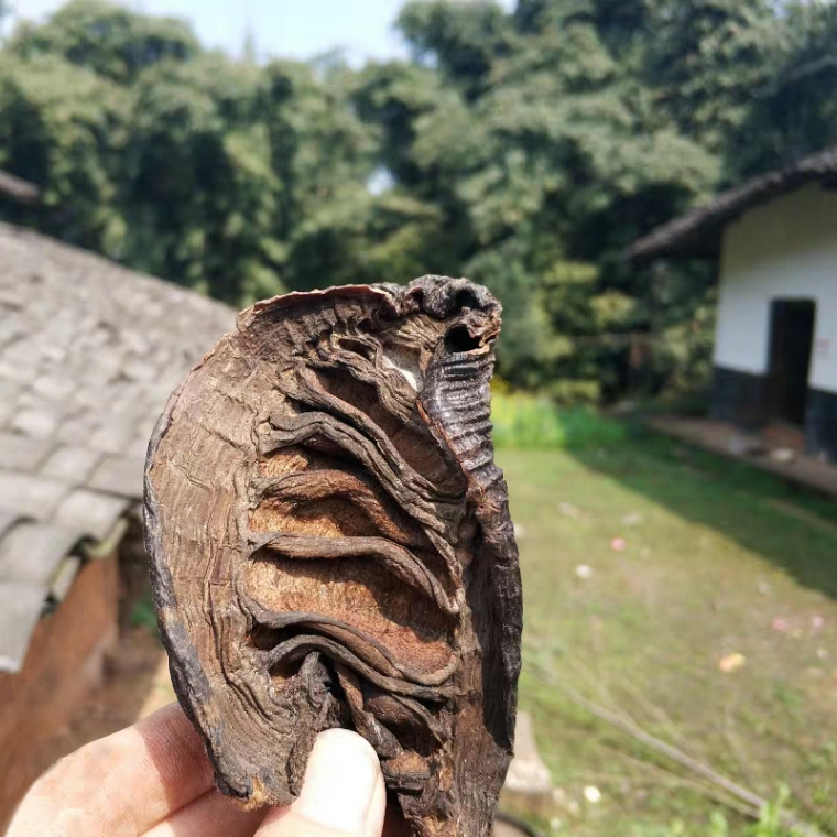 25年新笋柴火井冈山烟笋尖湖南特产袋装腊笋黑烟熏笋干干货熏笋干
