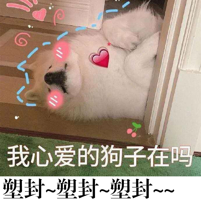 【塑封链接】thedreamers店铺相关海报塑封简约现代