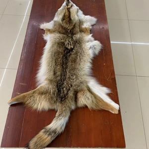 进口整只真狼皮加拿大郊狼皮床边毯皮草家居摆件装饰坐垫DIY手工