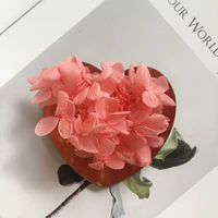 Гранат красный 1G