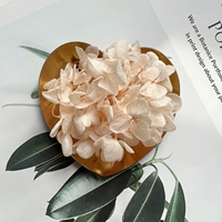 Порошок шампанского 1G