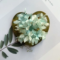 Синий цвет 1G