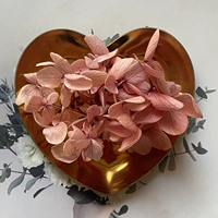 Фиолетовый цвет верблюда