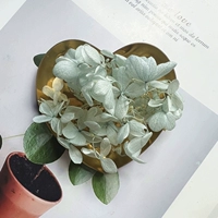 Небо синий 1G