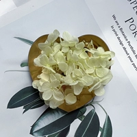 Светло -желтый зеленый 1G