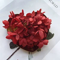 Wine Red New Retro Red 1g