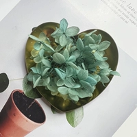 Зеленый синий цвет 1G