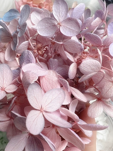 Вечная жизнь цветочный материал DIY Материал пакеты с гидрангейкой