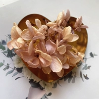 Светло -пурпурный пухлый цвет 1G