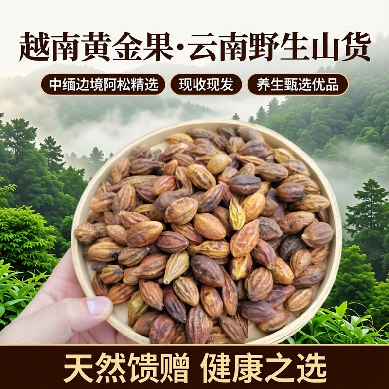 越南黄金果 中越边境阿松精选越南野生现收山货养生甄选优品发货