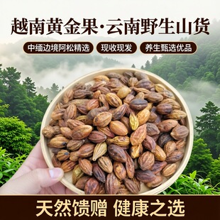 越南黄金果 中越边境阿松精选越南野生现收山货养生甄选优品发货
