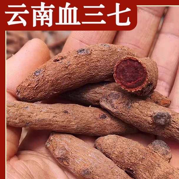 血三七正宗野生正品云南红三七泡酒中缅边境阿松现收云南农产品