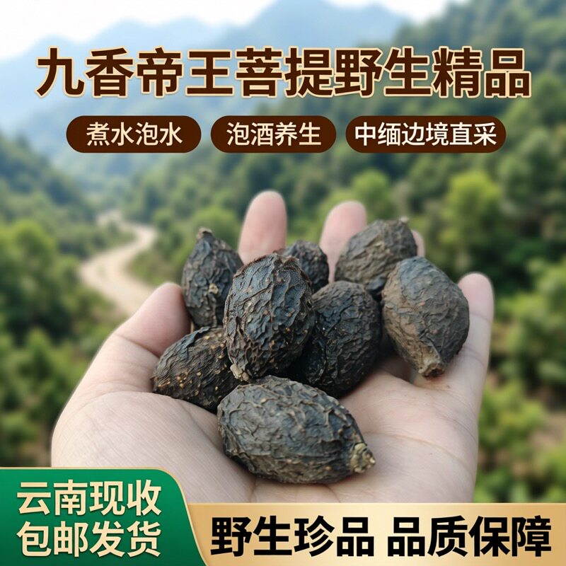 九香帝王菩提果煮水泡水泡酒精品包邮发货中缅边境云南现收