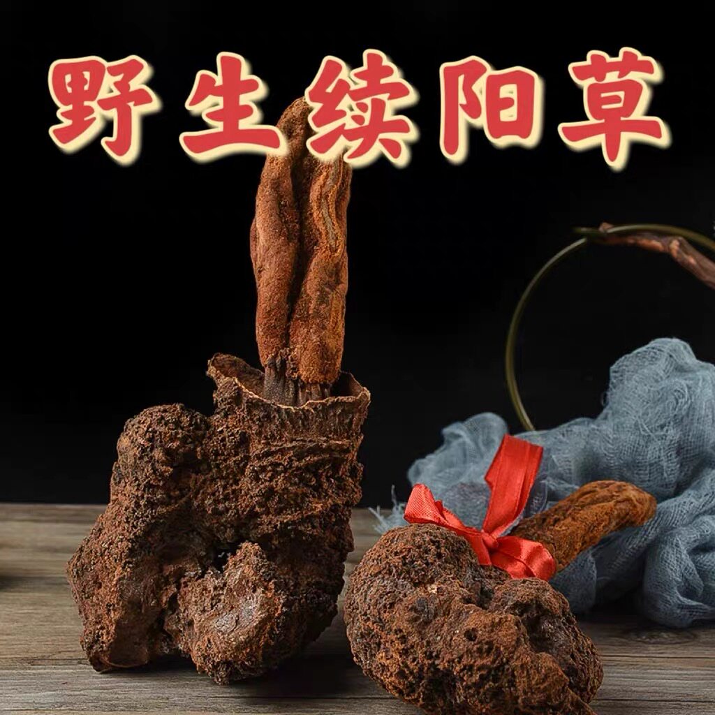 续阳草顶天柱泡酒精品精挑搭配枸杞中缅边境云南阿松现收云南山货