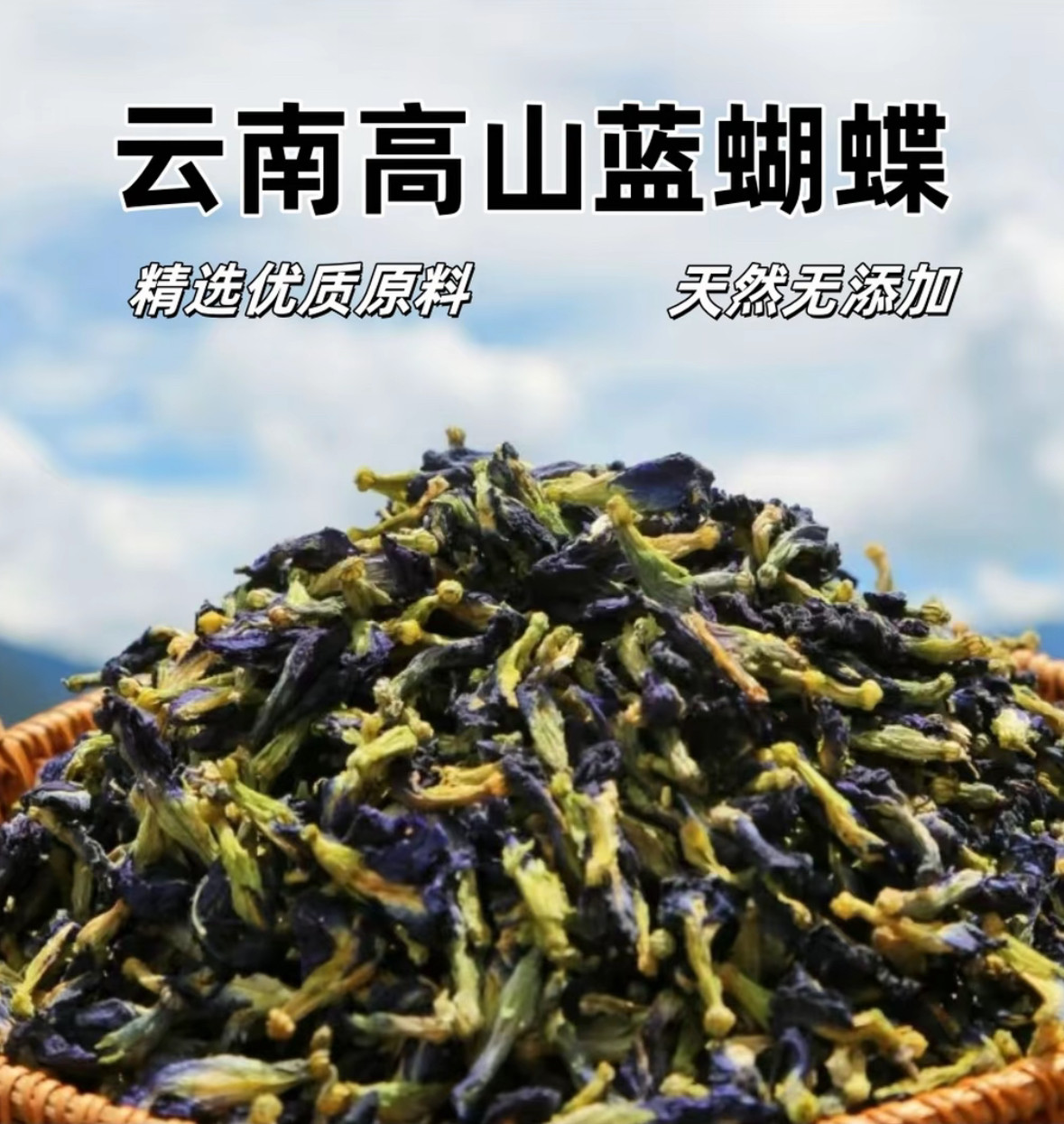 蓝蝴蝶 云南中缅边境高山高海拔农家现收野生蓝莲花蝶蓝色茶