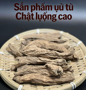 整根越龙根或切片野生正品补元气油性十足中越阿松现收山货滋补